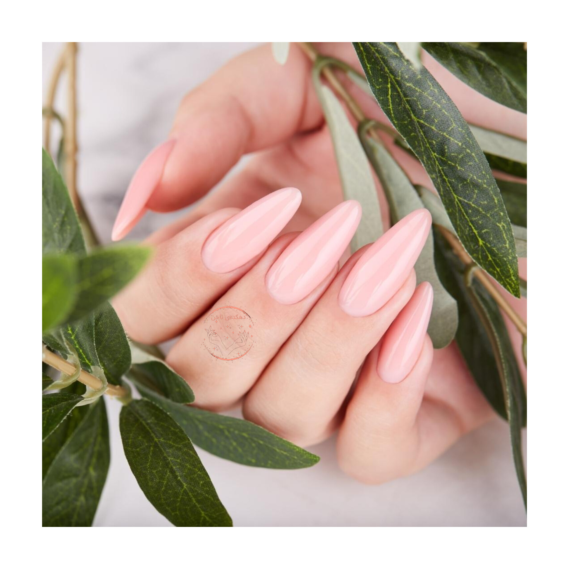 کاشت کلاسیک